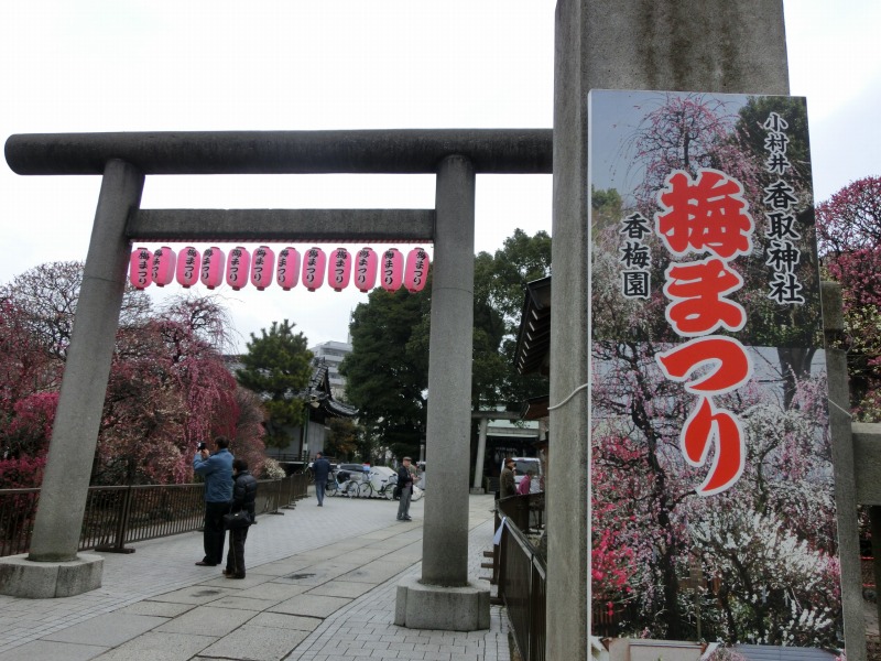 香取神社　鳥居と梅まつり看板