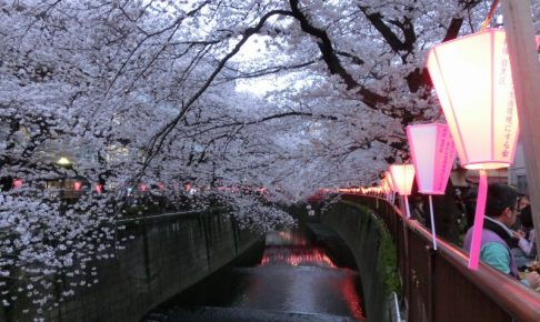 目黒川の桜のライトアップ