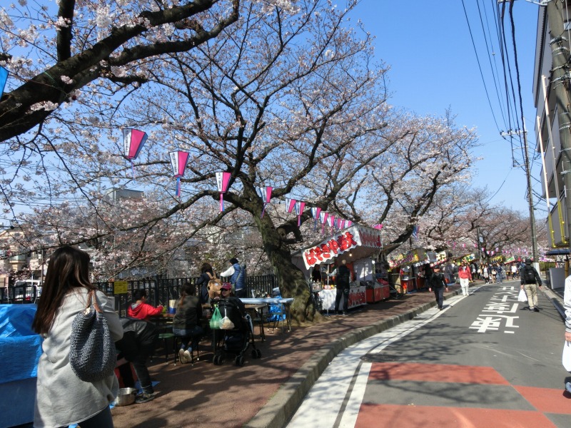 桜と屋台