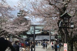 大岡川の桜の開花見頃は ライトアップや屋台は 生活情報お役立ちナビ