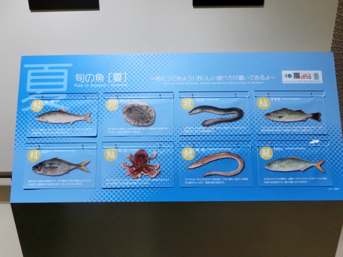 魚の説明